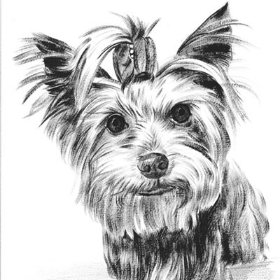Hand Painted Ink Rendering Portrait of A Black Dog from Photo - myDaVinci